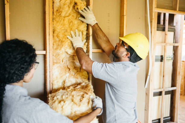 Best Commercial Insulation Services  in Bensenvle, IL